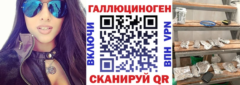 Псилоцибиновые грибы GOLDEN TEACHER  Короча 